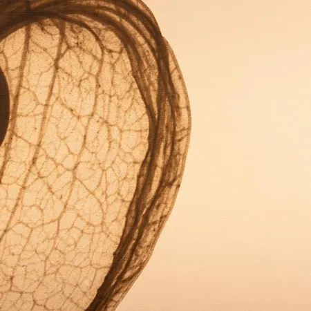 Tenuta Fogliani & Natural Resort Visciano