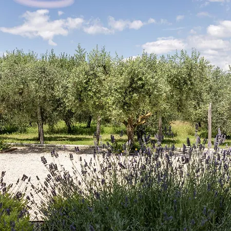 Tenuta Fogliani & Natural Resort Visciano