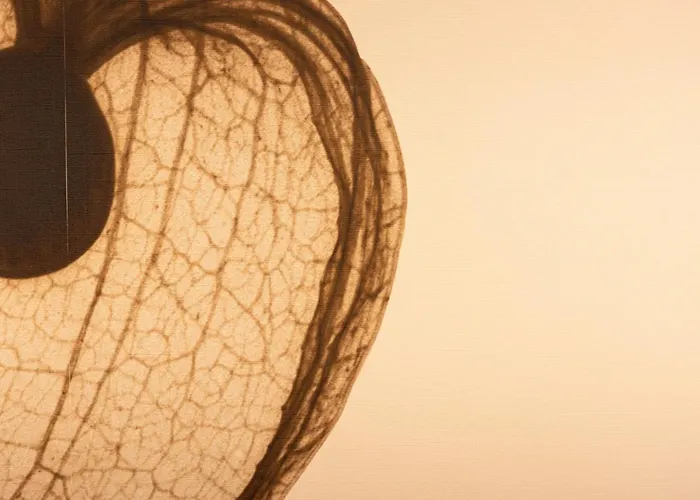 Tenuta Fogliani Resort&natural Resort Visciano