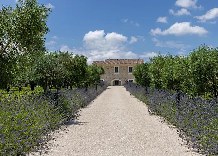 Resort Tenuta Fogliani Resort&natural Visciano