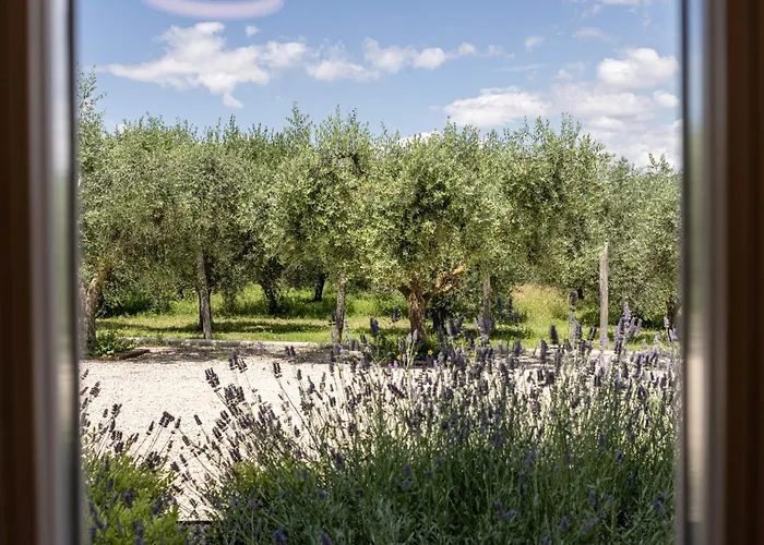 Tenuta Fogliani Resort&natural Resort Visciano